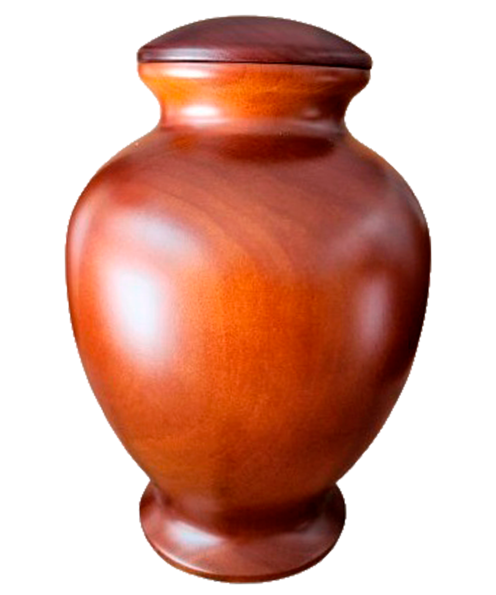 Ánfora Paulonia
