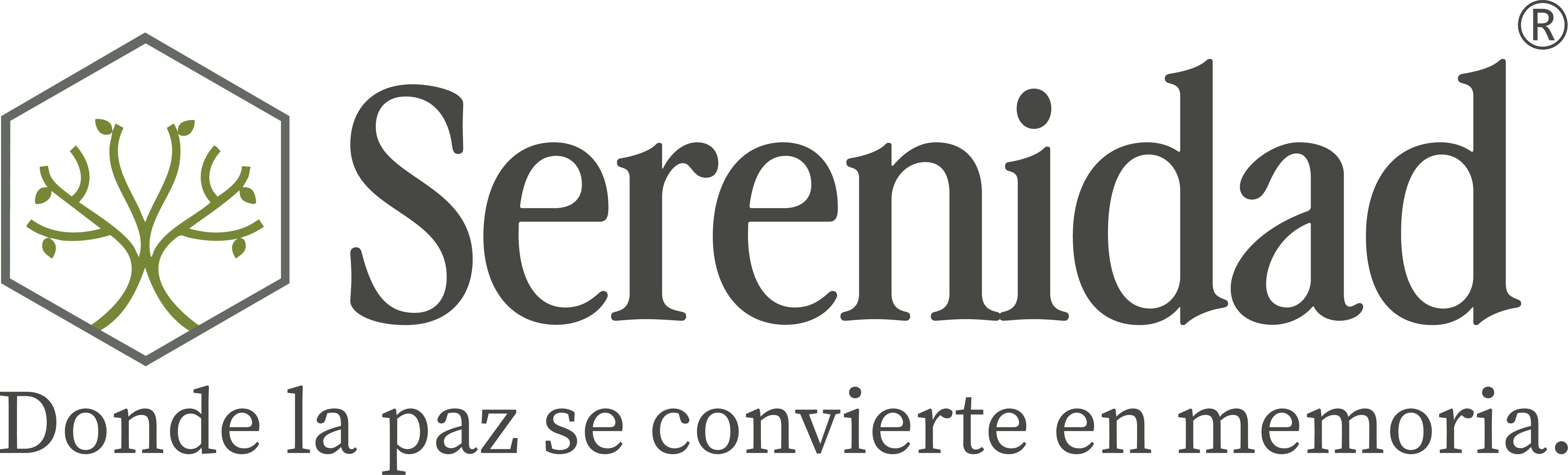 Serenidad Logo